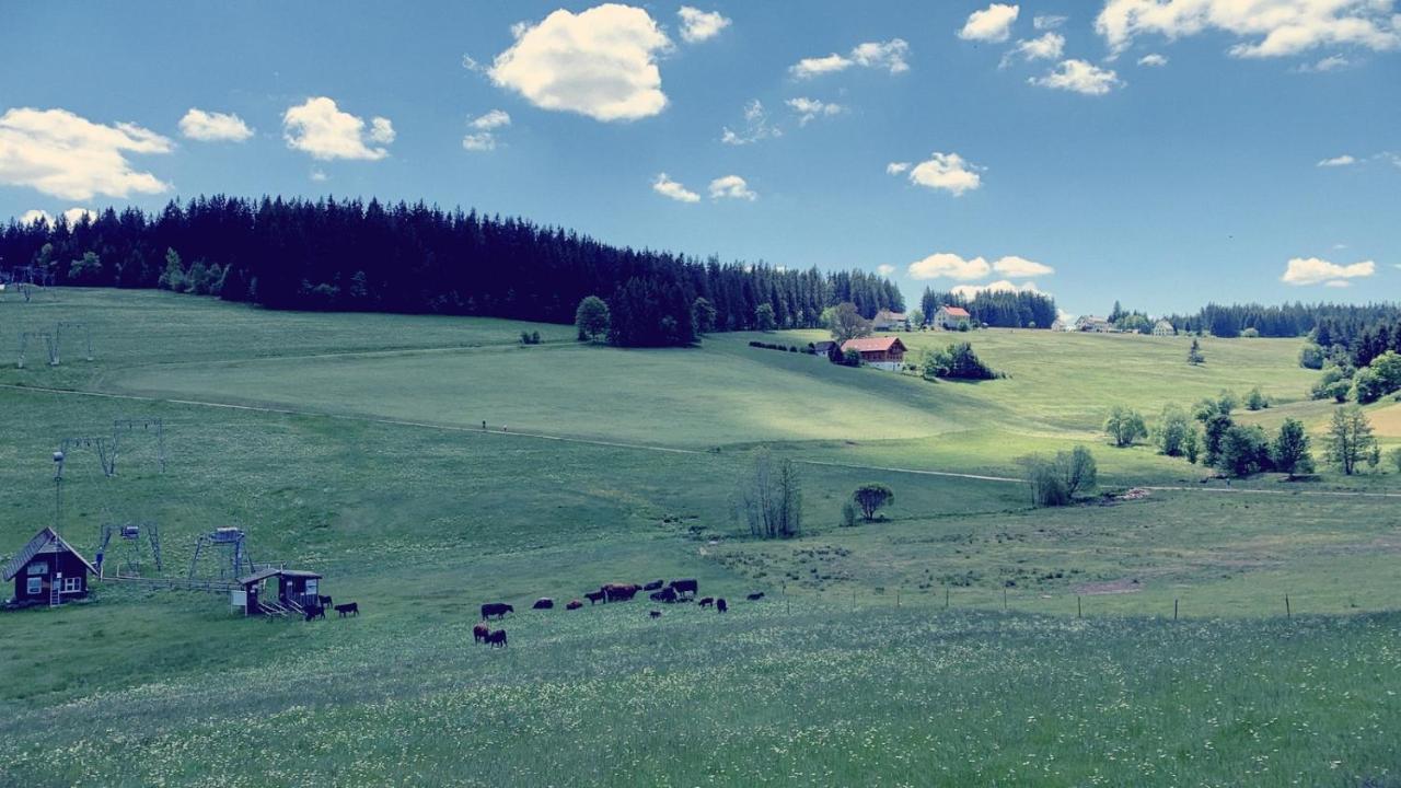 Daheim Im Hirschen Lejlighed Schönwalde Eksteriør billede